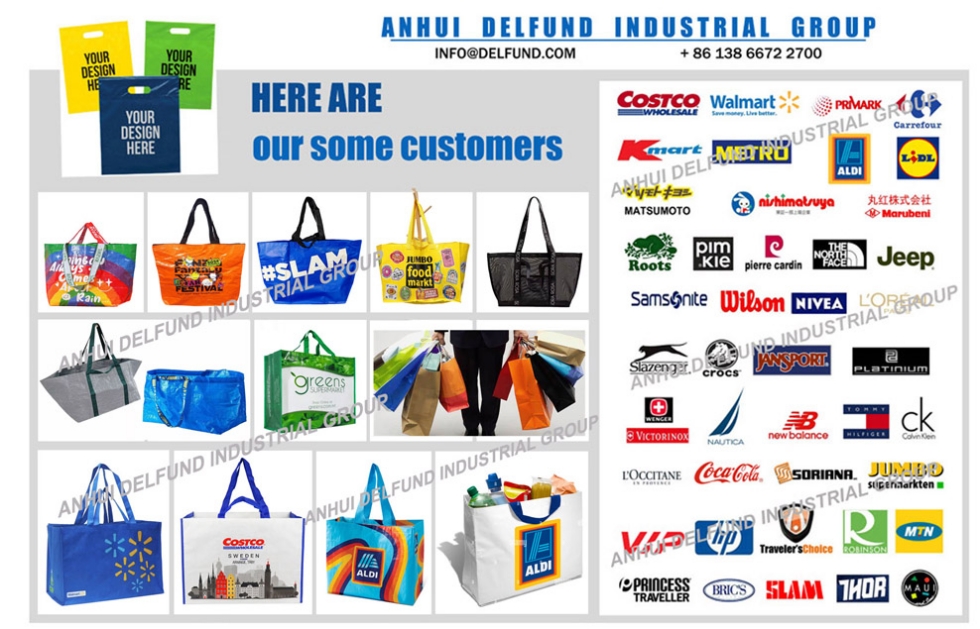 1 SHOPPING BAG 2 CUSTOMER - ANHUI DELFUND INDUSTRIAL GROUP 1.jpg