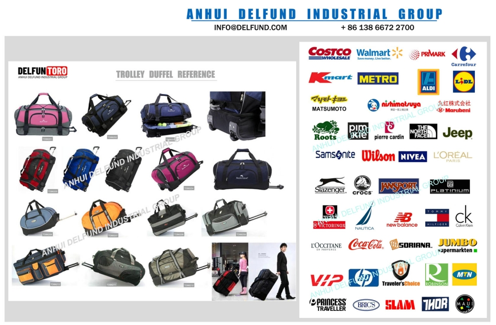1 trolley bag wheeling duffel bag trolley handle bag - anhui delfund industrial group DELFUN TOR.jpg