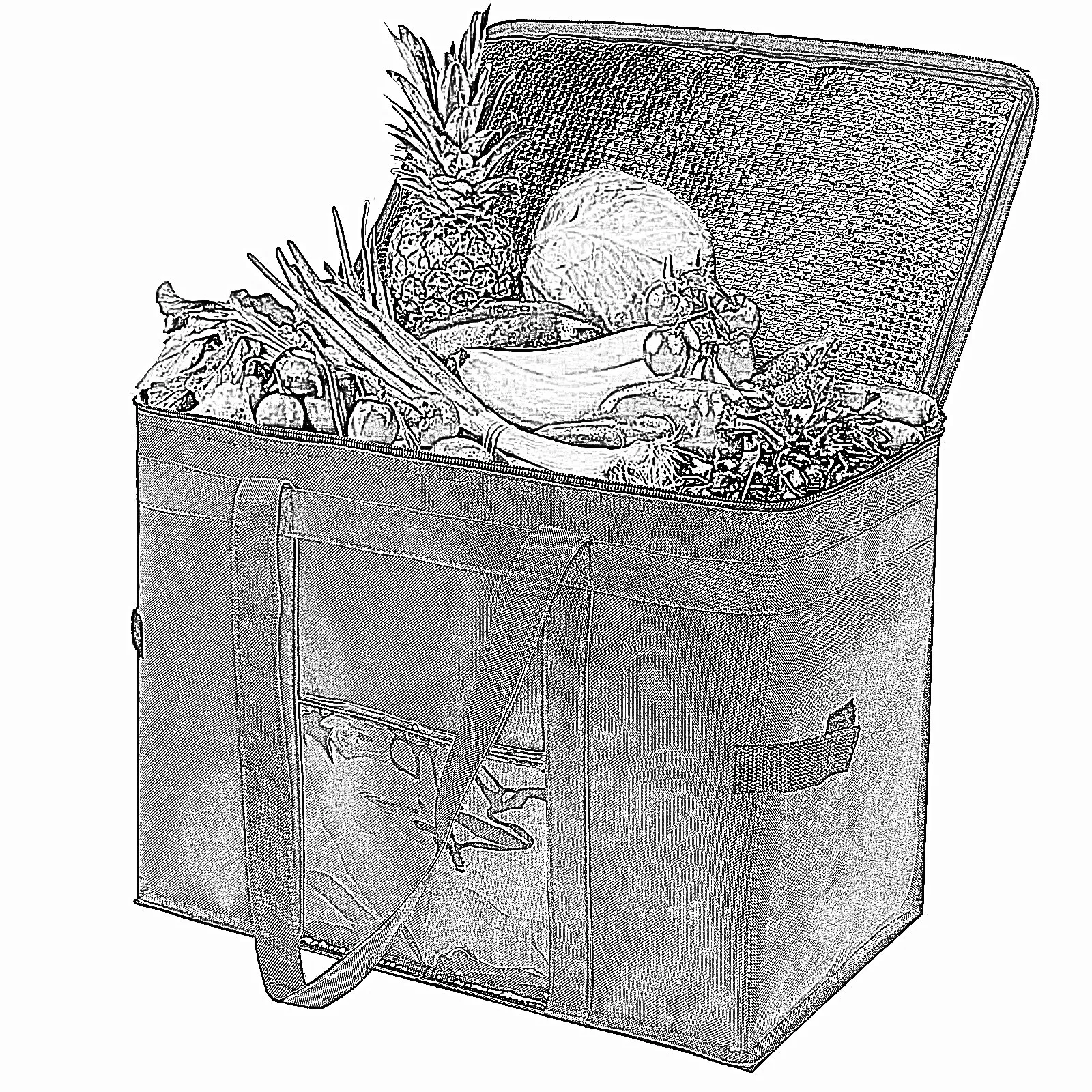 Cooler Bag