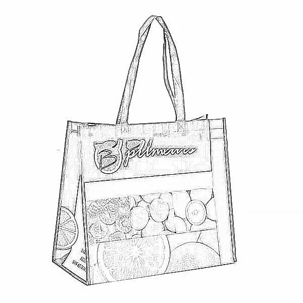 Shopping Bag
