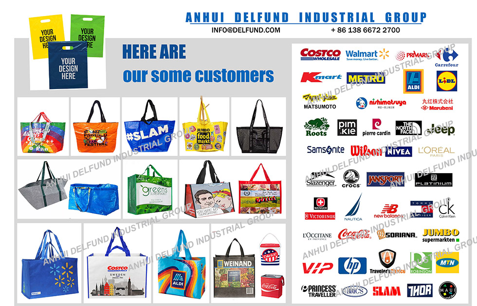 1 SHOPPING BAG 2 CUSTOMER - ANHUI DELFUND INDUSTRIAL GROUP 1-.jpg
