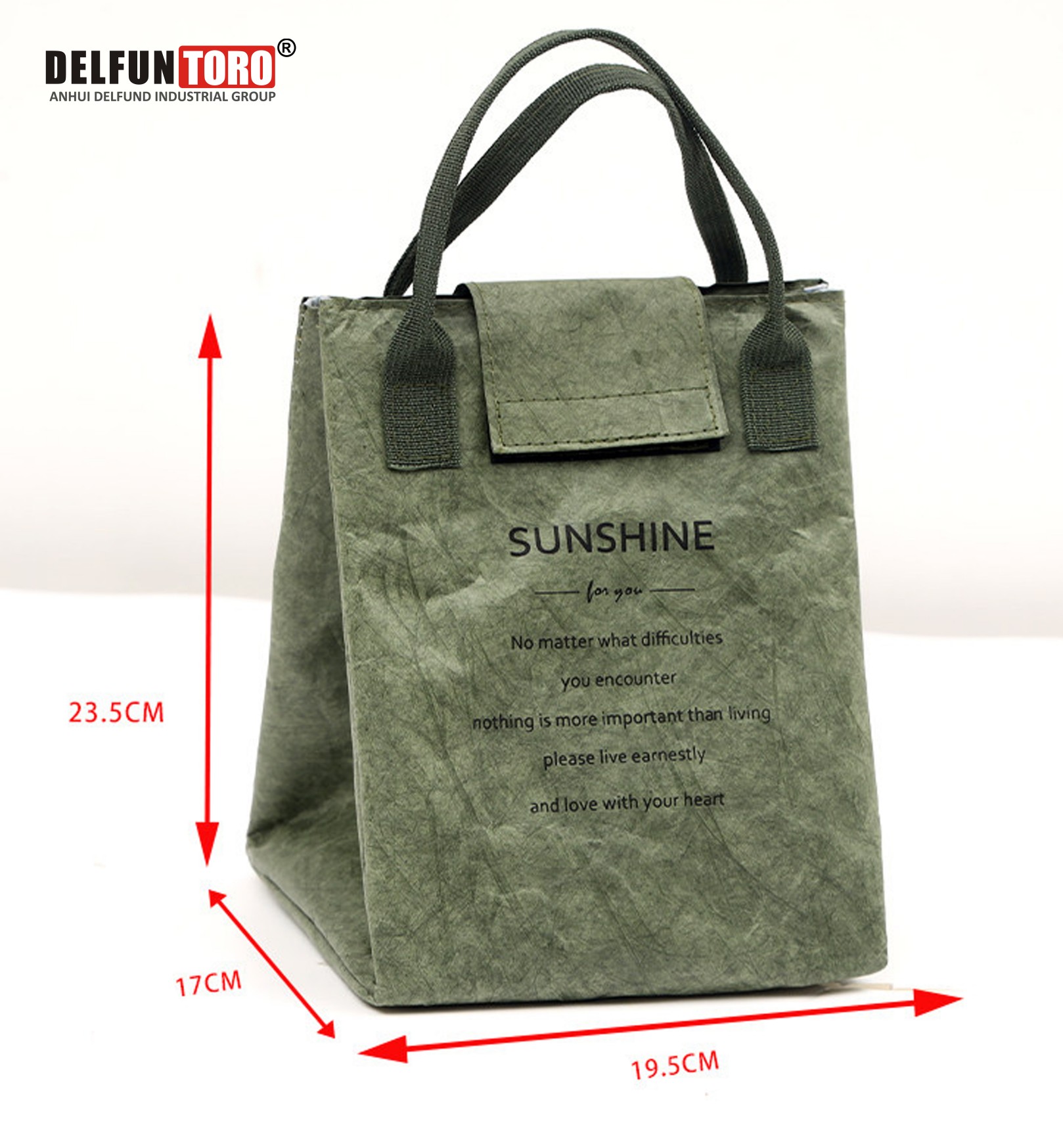 Paper cooler bag - DLF-CLB018 -5.jpg