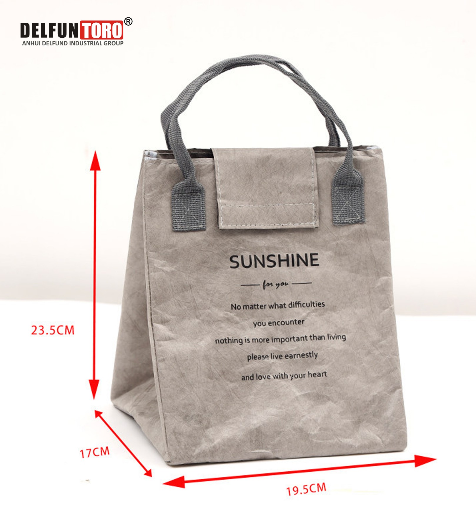 Paper cooler bag - DLF-CLB018 -2.jpg